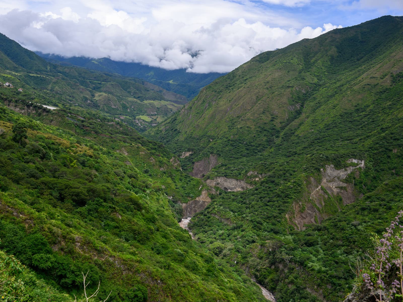 Around the property photo 1