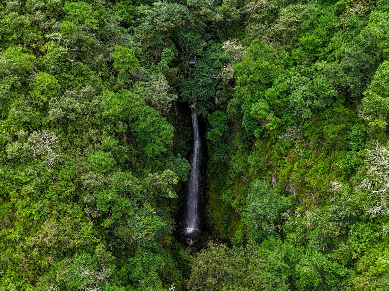 Waterfall trail in the region