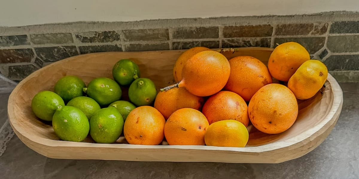 Organic produce at The Cloud Forest Retreat