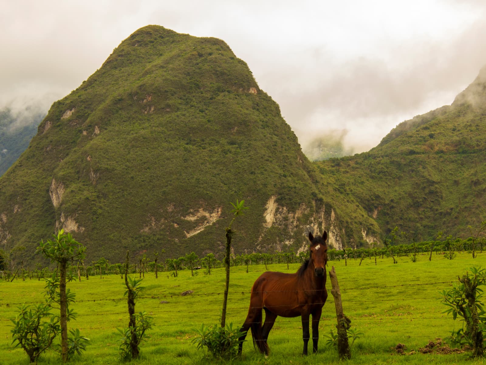 Pululahua view from the mirador