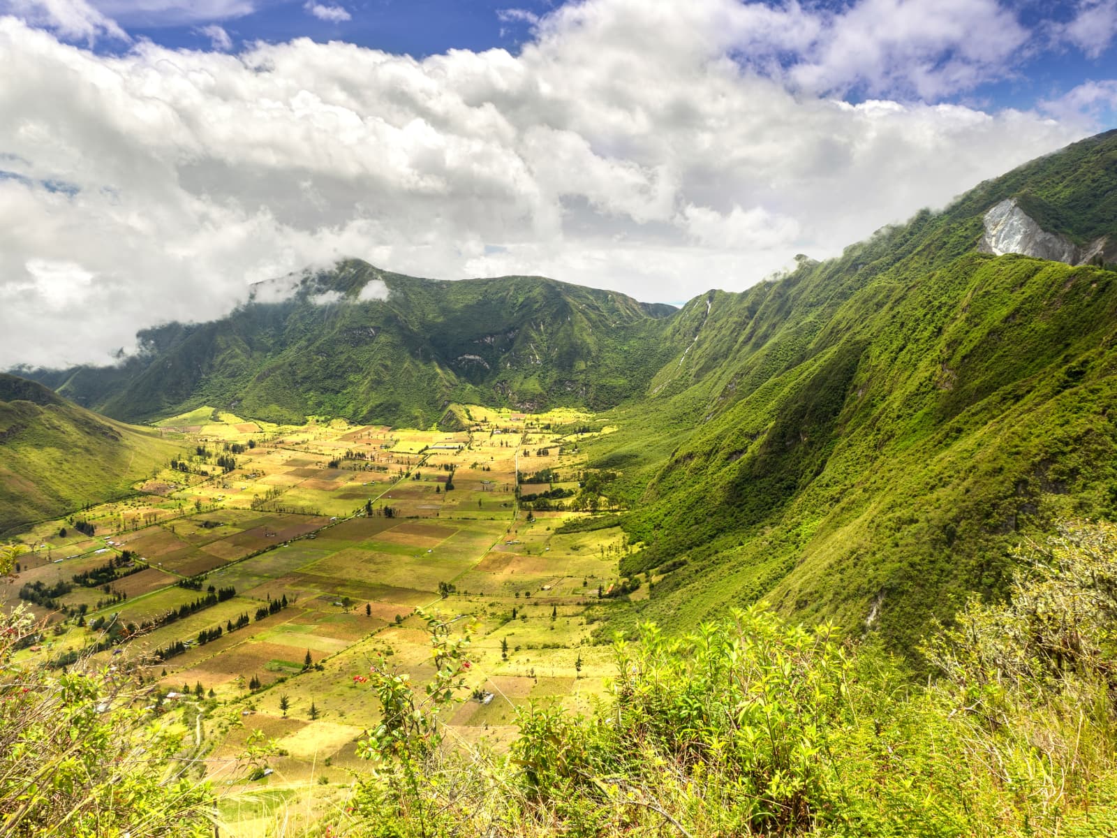 Farms inside Pululahua caldera