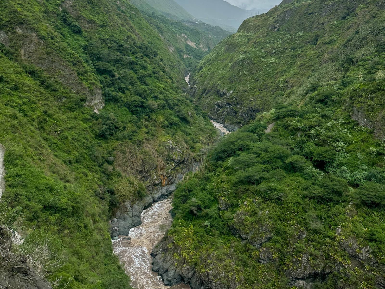 Green slopes near the river after rain