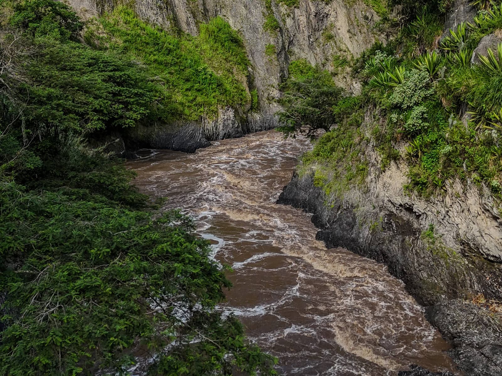 Trail view toward the river