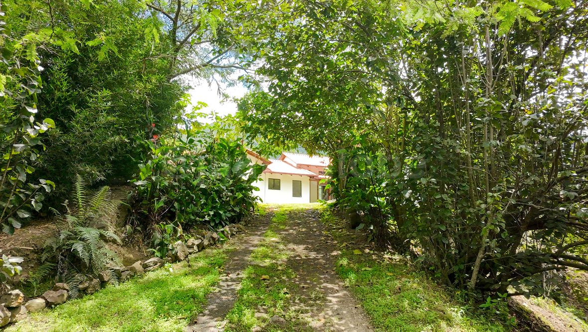 The Cloud Forest Retreat view and surroundings