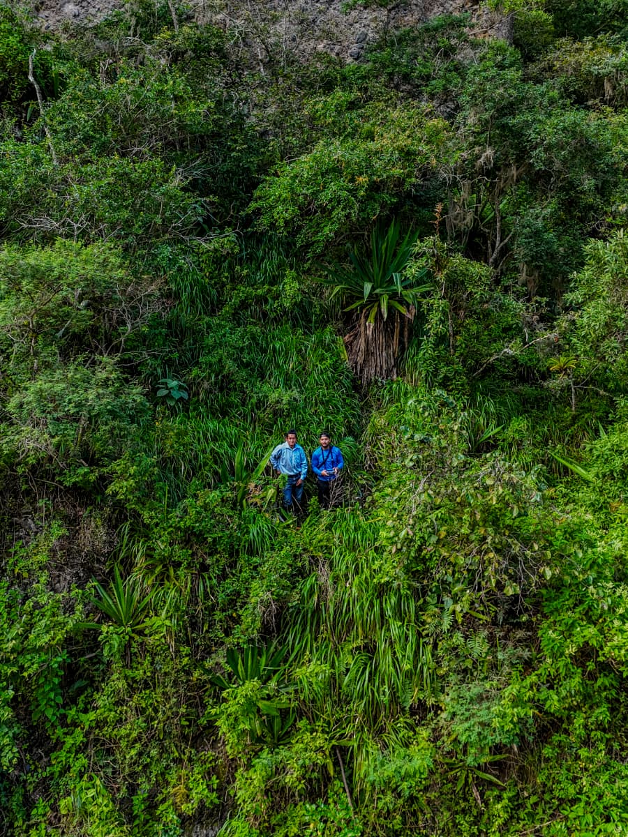 Outdoor view and surrounding greenery