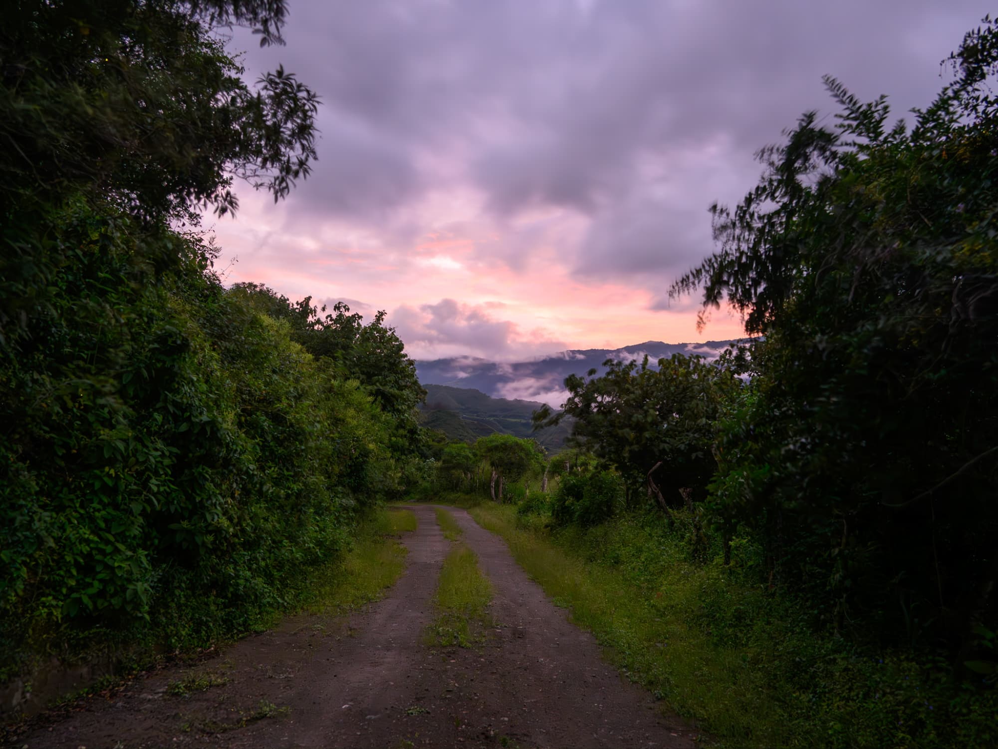 Eco lodge near Quito, Ecuador at The Cloud Forest Retreat