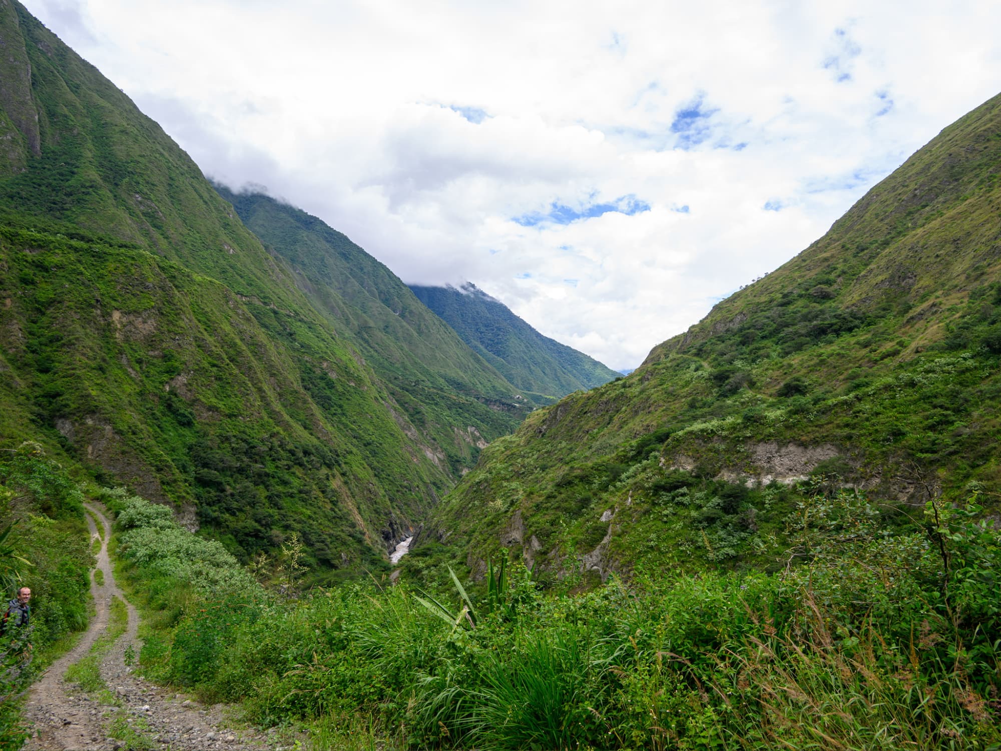 Birdwatching planning near Quito