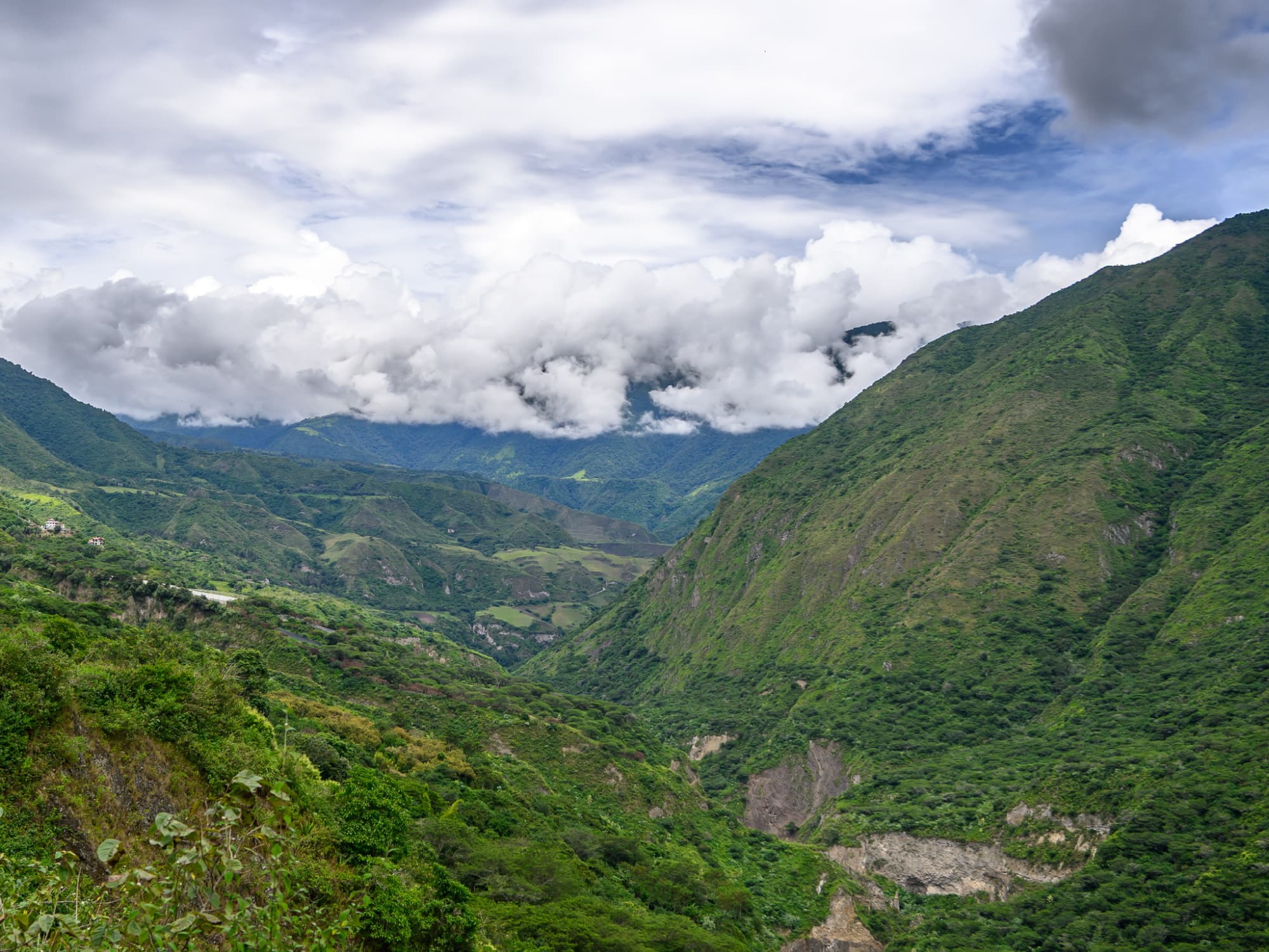 Cloud forest stay near Quito with scenic atmosphere