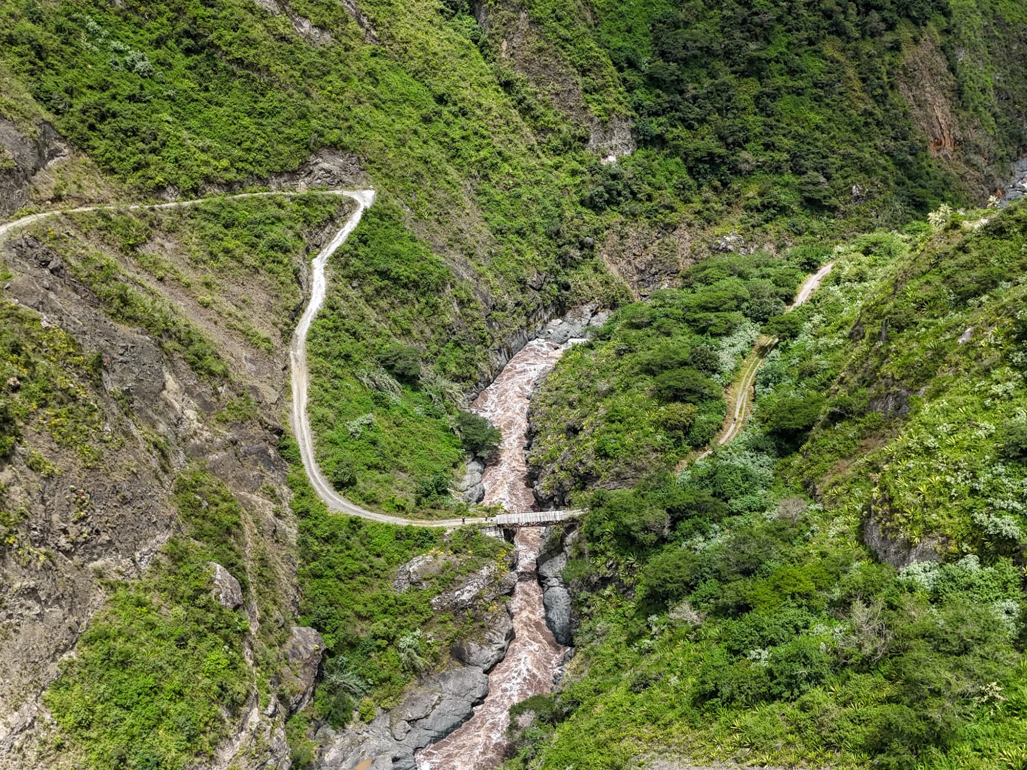 Nature-led birdwatching stay in Ecuador
