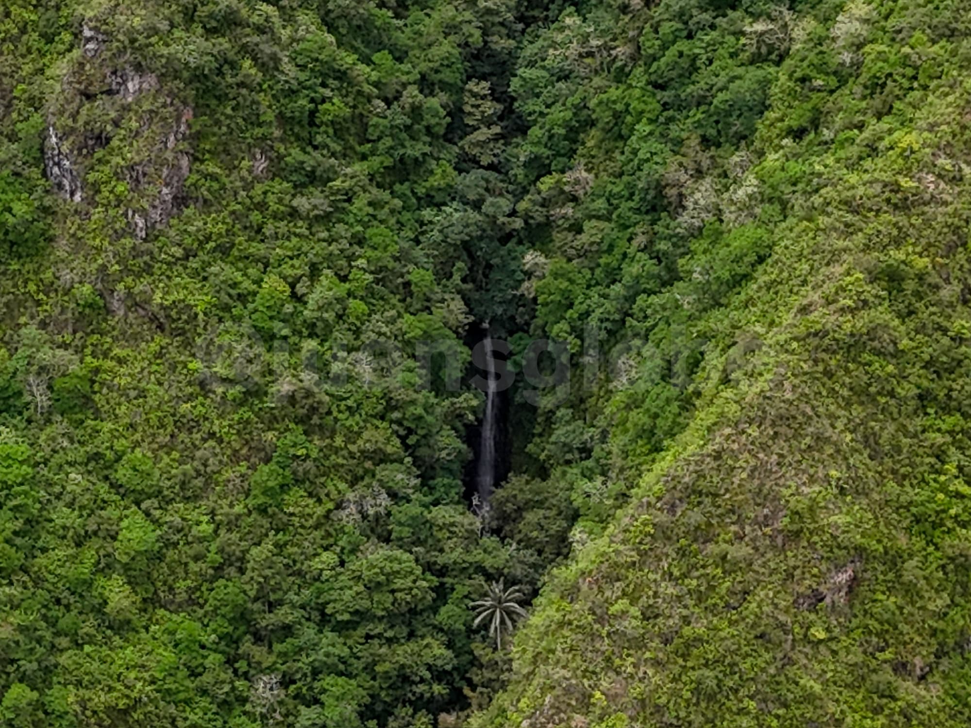 Cloud forest destination in Ecuador with scenic setting