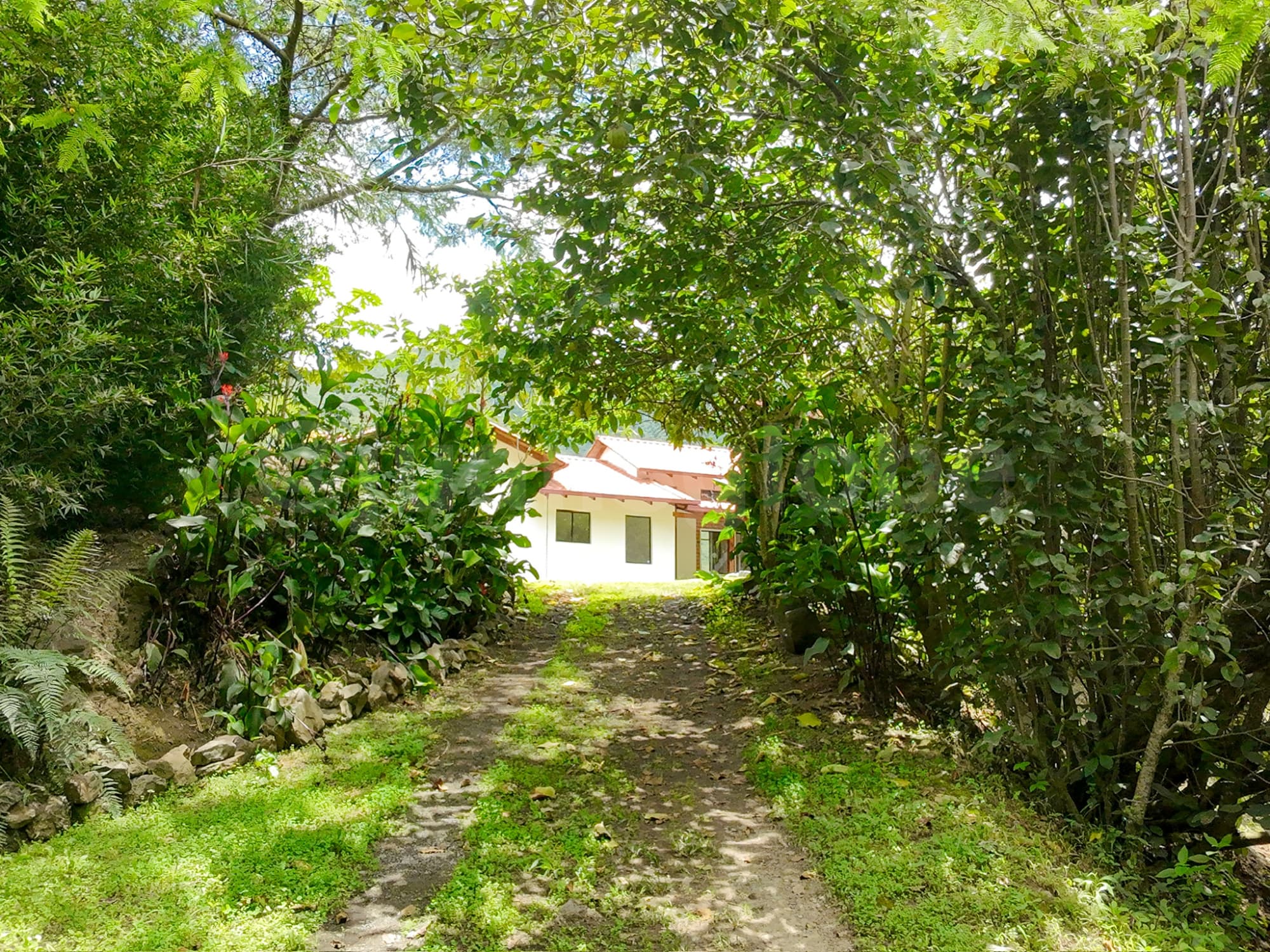 Cloud forest eco lodge stay near Quito
