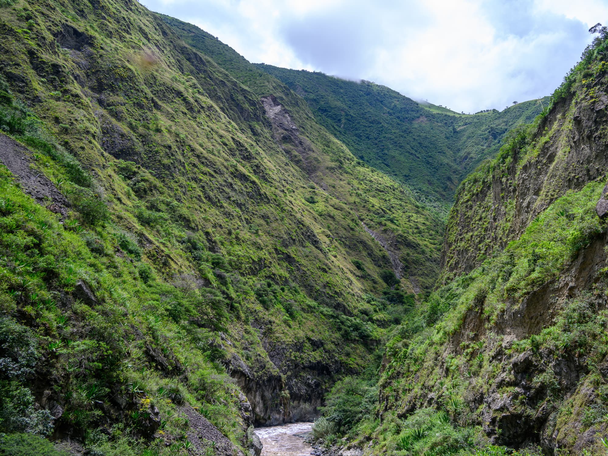 Birdwatching lodge atmosphere in Ecuador