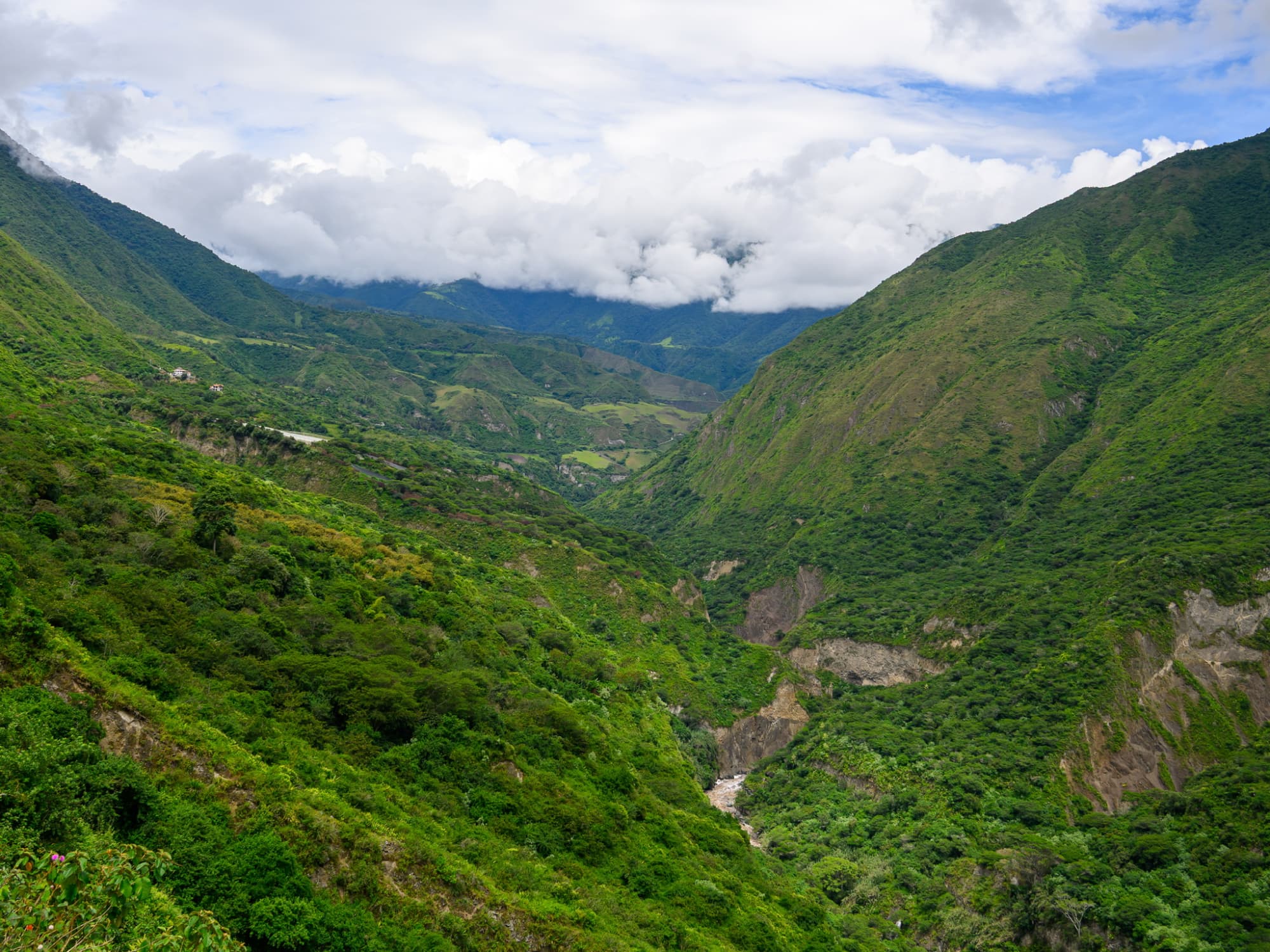 Travel from Quito to the cloud forest in Ecuador