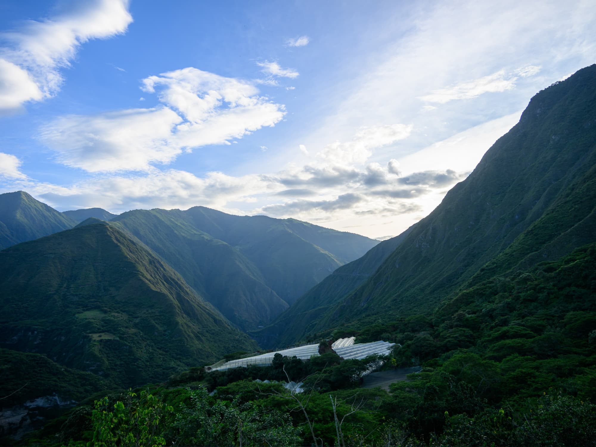 Eco lodge atmosphere near Quito in Ecuador