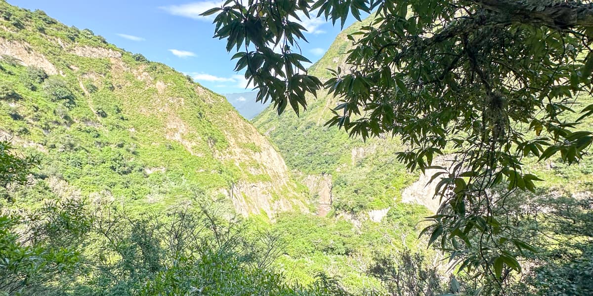 Cloud forest view at The Cloud Forest Retreat